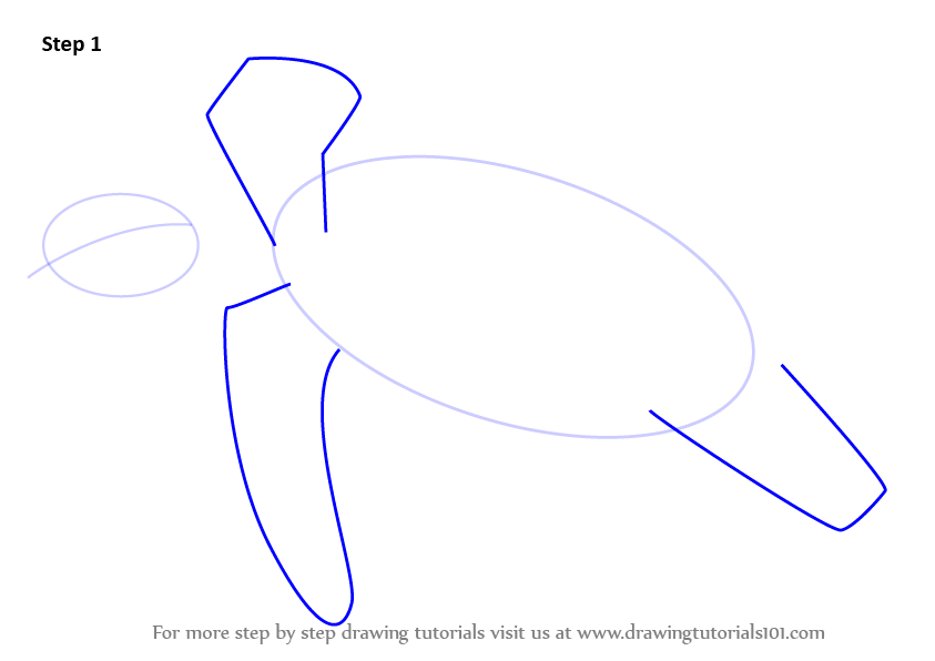 learn-how-to-draw-a-hawksbill-turtle-turtles-and-tortoises-step-by-step-drawing-tutorials