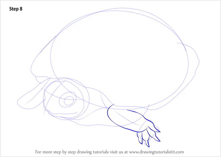 How to Draw a Spotted Turtle (Turtles and Tortoises) Step by Step ...