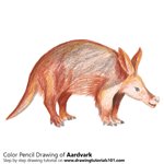How to Draw an Aardvark