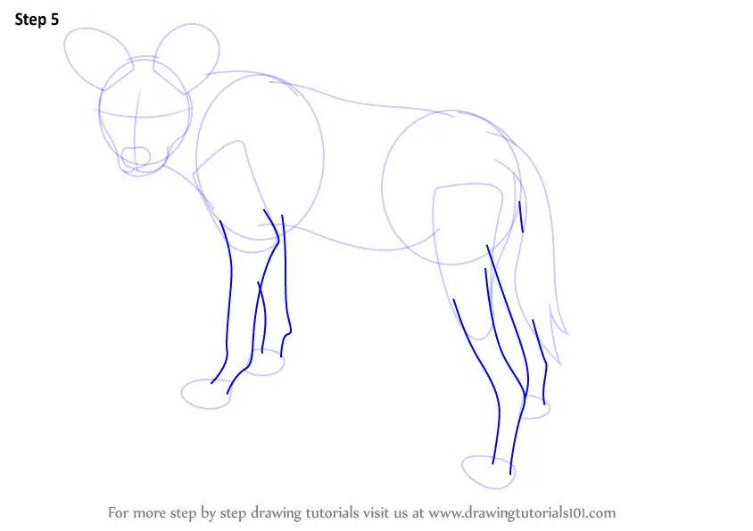 Learn How To Draw A African Wild Dog Wild Animals Step By Step Drawing Tutorials