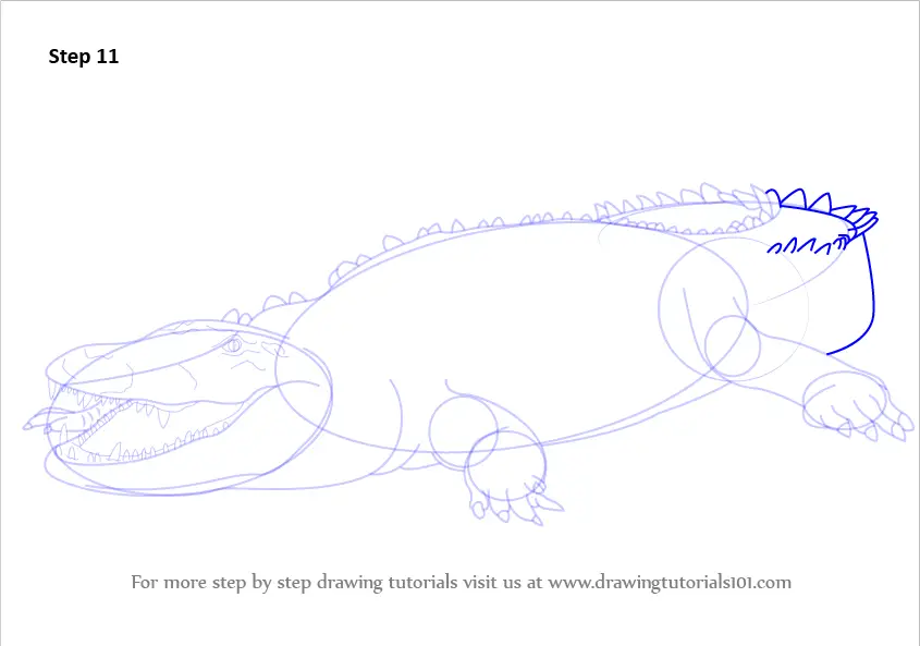 How to Draw an American Crocodile (Wild Animals) Step by Step ...