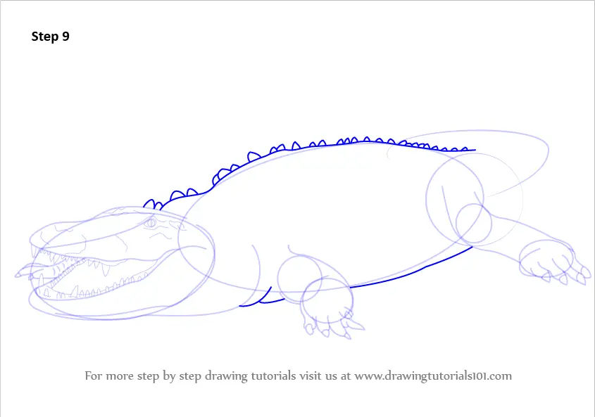 How to Draw an American Crocodile (Wild Animals) Step by Step ...