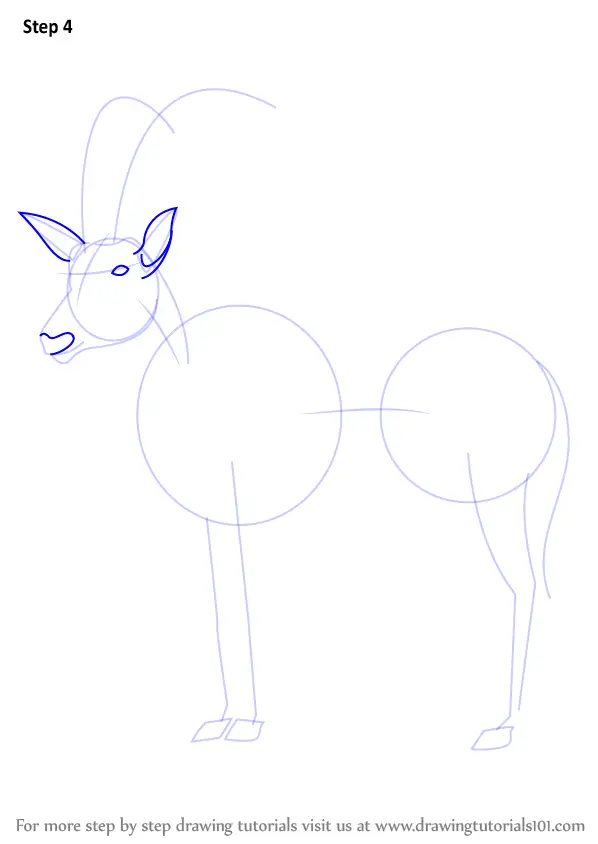 How to Draw an Antelope (Wild Animals) Step by Step ...