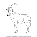 How to Draw an Antelope