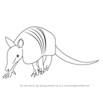 How to Draw a Armadillo
