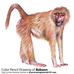 How to Draw a Baboon