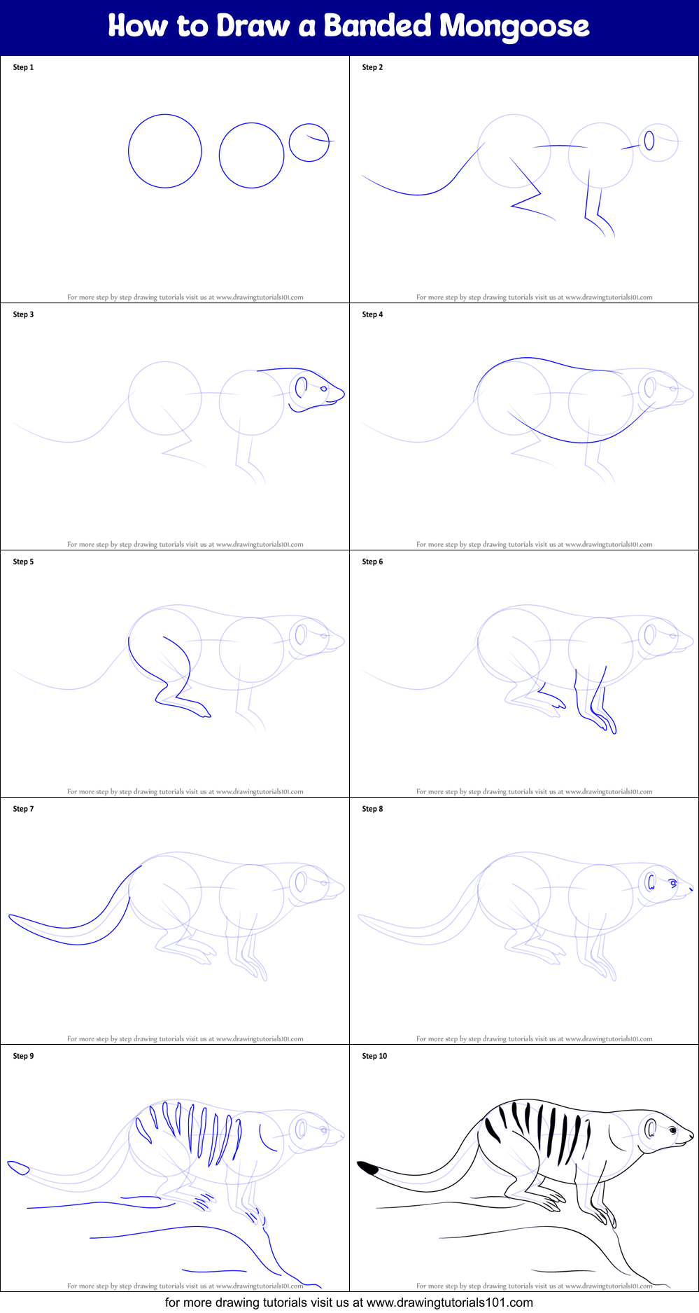 How to Draw a Banded Mongoose printable step by step drawing sheet