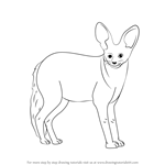 How to Draw a Bat-Eared Fox