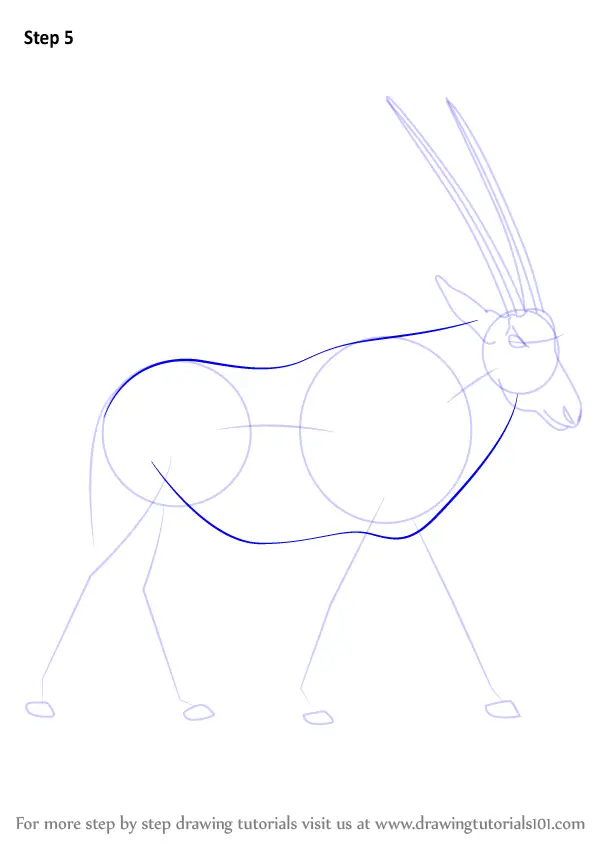 How to Draw a Beisa Oryx (Wild Animals) Step by Step ...