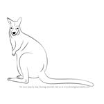 How to Draw a Bennett's Wallaby