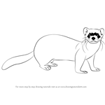 How to Draw a Black-Footed Ferret