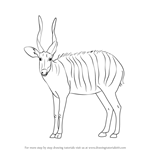 How to Draw a Bongo Antelope