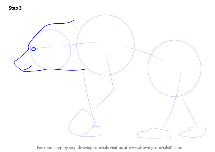 How to Draw a Brown Bear (Wild Animals) Step by Step ...