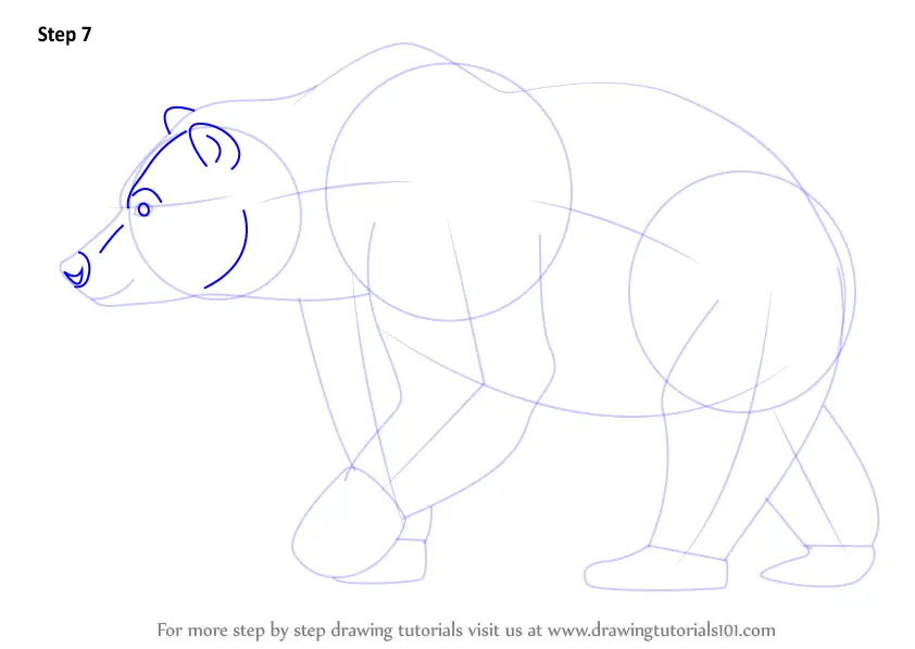 How to Draw a Brown Bear (Wild Animals) Step by Step ...