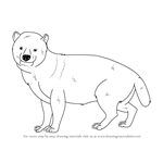 How to Draw a Bush Dog