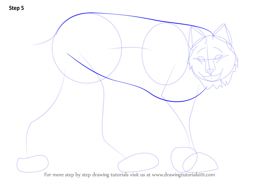 Learn How To Draw A Canada Lynx Wild Animals Step By Step Drawing