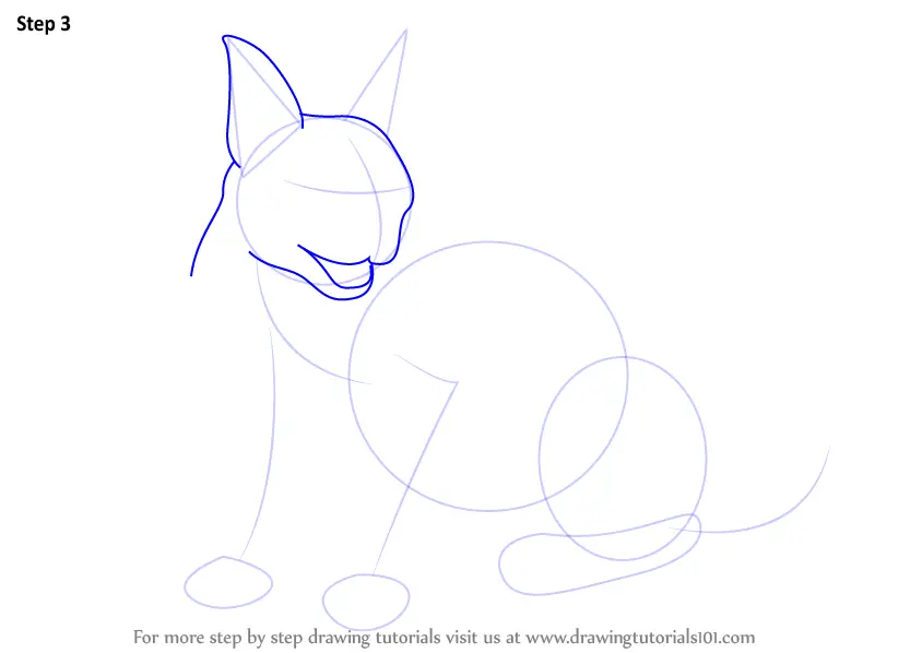 Step by Step How to Draw a Caracal : DrawingTutorials101.com