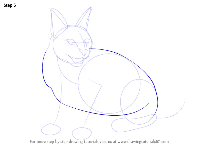 How to Draw a Caracal (Wild Animals) Step by Step | DrawingTutorials101.com