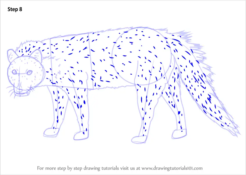 Download Learn How to Draw a Civet (Wild Animals) Step by Step : Drawing Tutorials