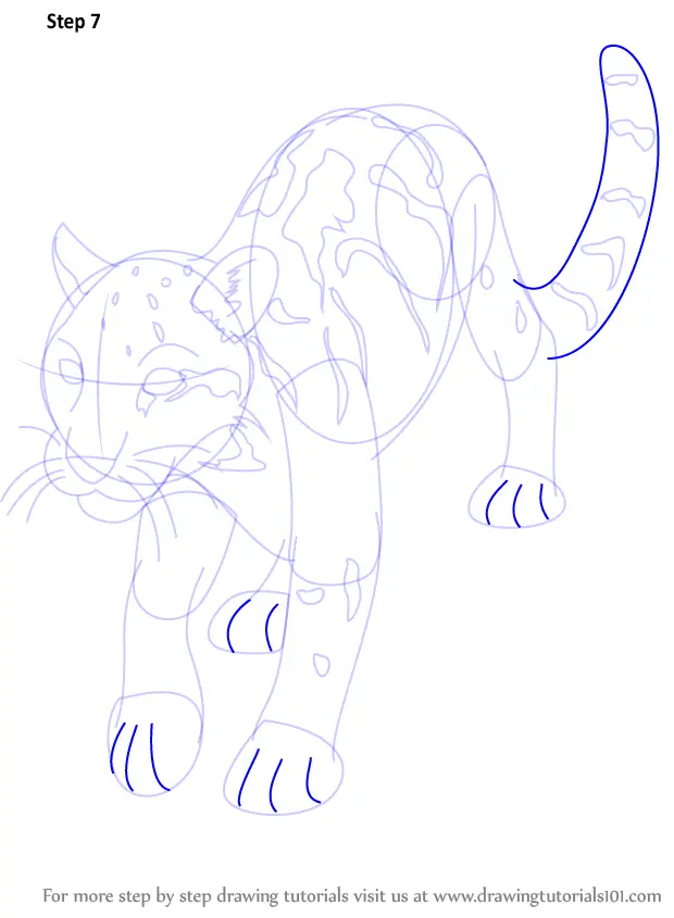 How to Draw a Clouded Leopard (Wild Animals) Step by Step