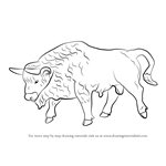 How to Draw a European-Bison