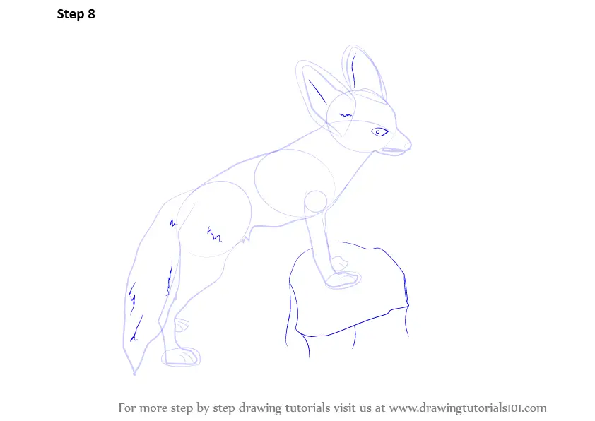 How to Draw a Fennec Fox (Wild Animals) Step by Step