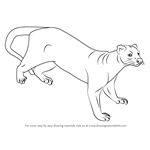 How to Draw a Fossa