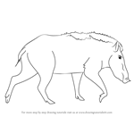 How to Draw a Indian Boar