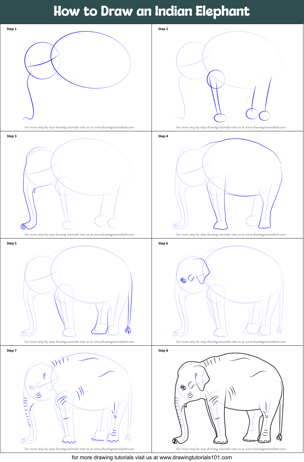 How to Draw an Indian Elephant printable step by step drawing sheet