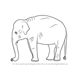 How to Draw an Indian Elephant