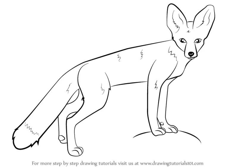 Learn How to Draw a Kit Fox (Wild Animals) Step by Step Drawing Tutorials