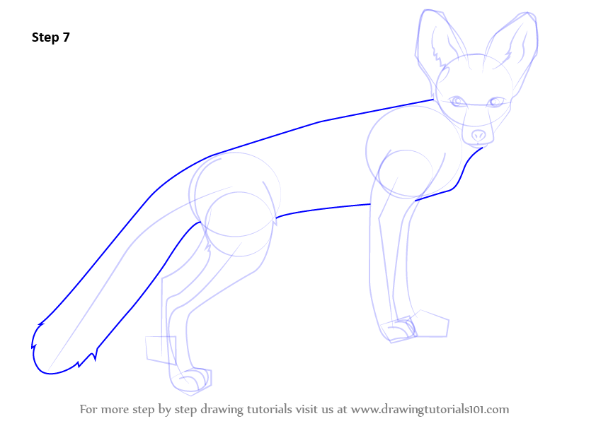 Step by Step How to Draw a Kit Fox : DrawingTutorials101.com