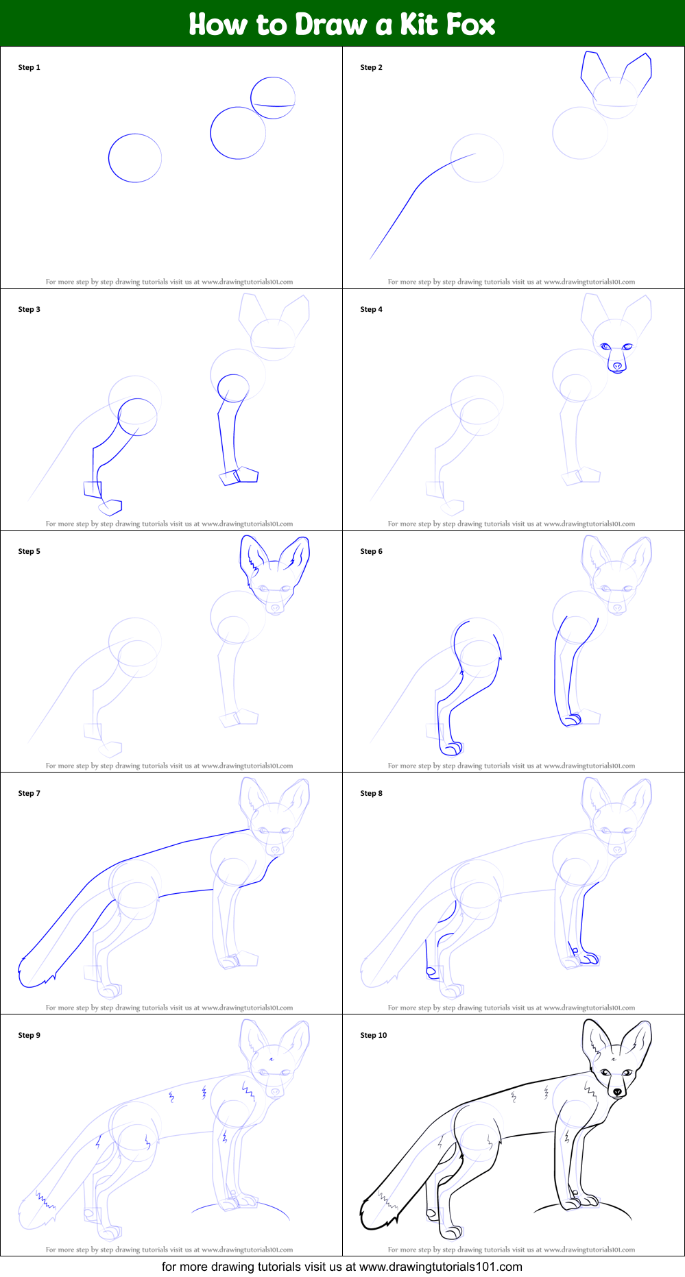 How to Draw a Kit Fox printable step by step drawing sheet
