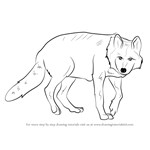 How to Draw a Mexican Wolf