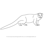 How to Draw a Mongoose