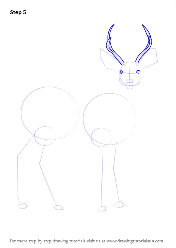 How to Draw a Mule Deer (Wild Animals) Step by Step