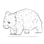 How to Draw a Northern Hairy-Nosed Wombat