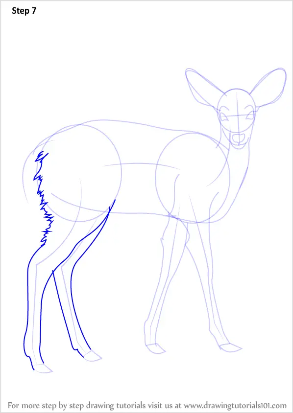 how to draw realistic wild animals
