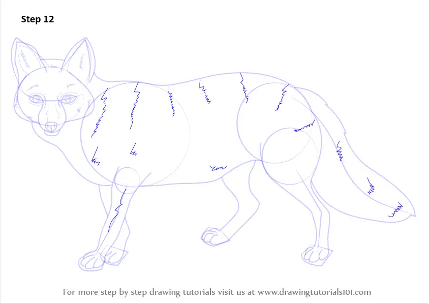 How to Draw a Pampas Fox (Wild Animals) Step by Step ...