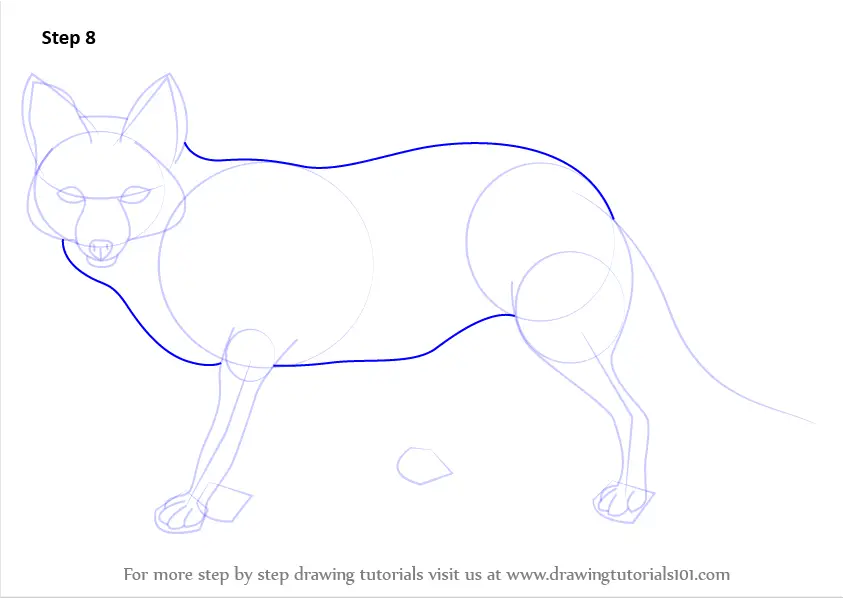 How to Draw a Pampas Fox (Wild Animals) Step by Step ...