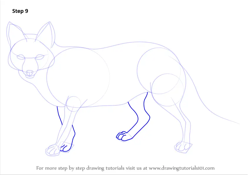 How to Draw a Pampas Fox (Wild Animals) Step by Step ...