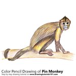 How to Draw a Pin Monkey