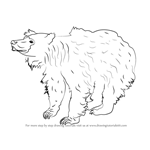 How to Draw a Sloth Bear