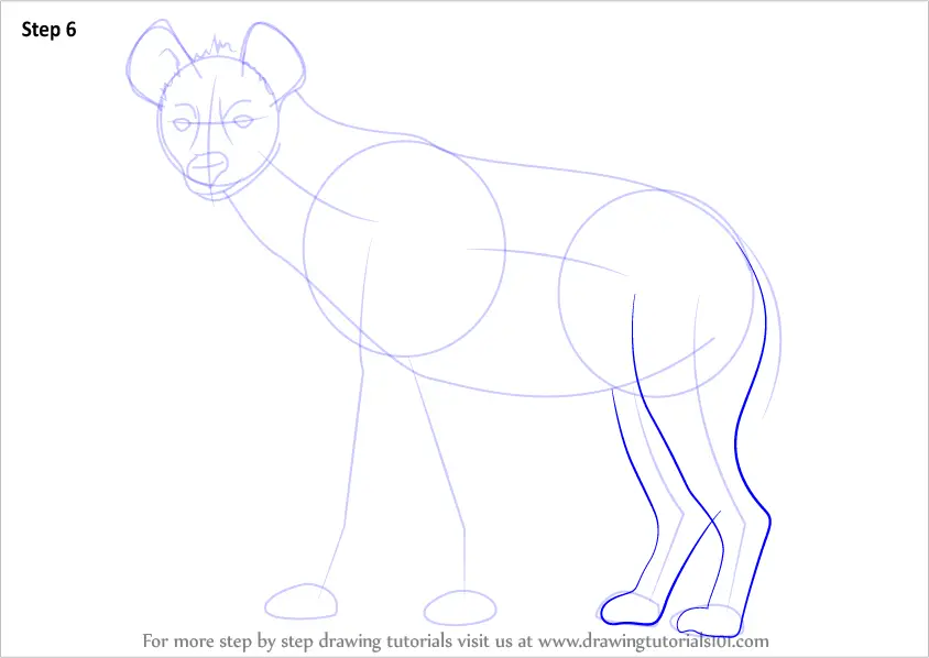 How to Draw a Spotted Hyena (Wild Animals) Step by Step ...