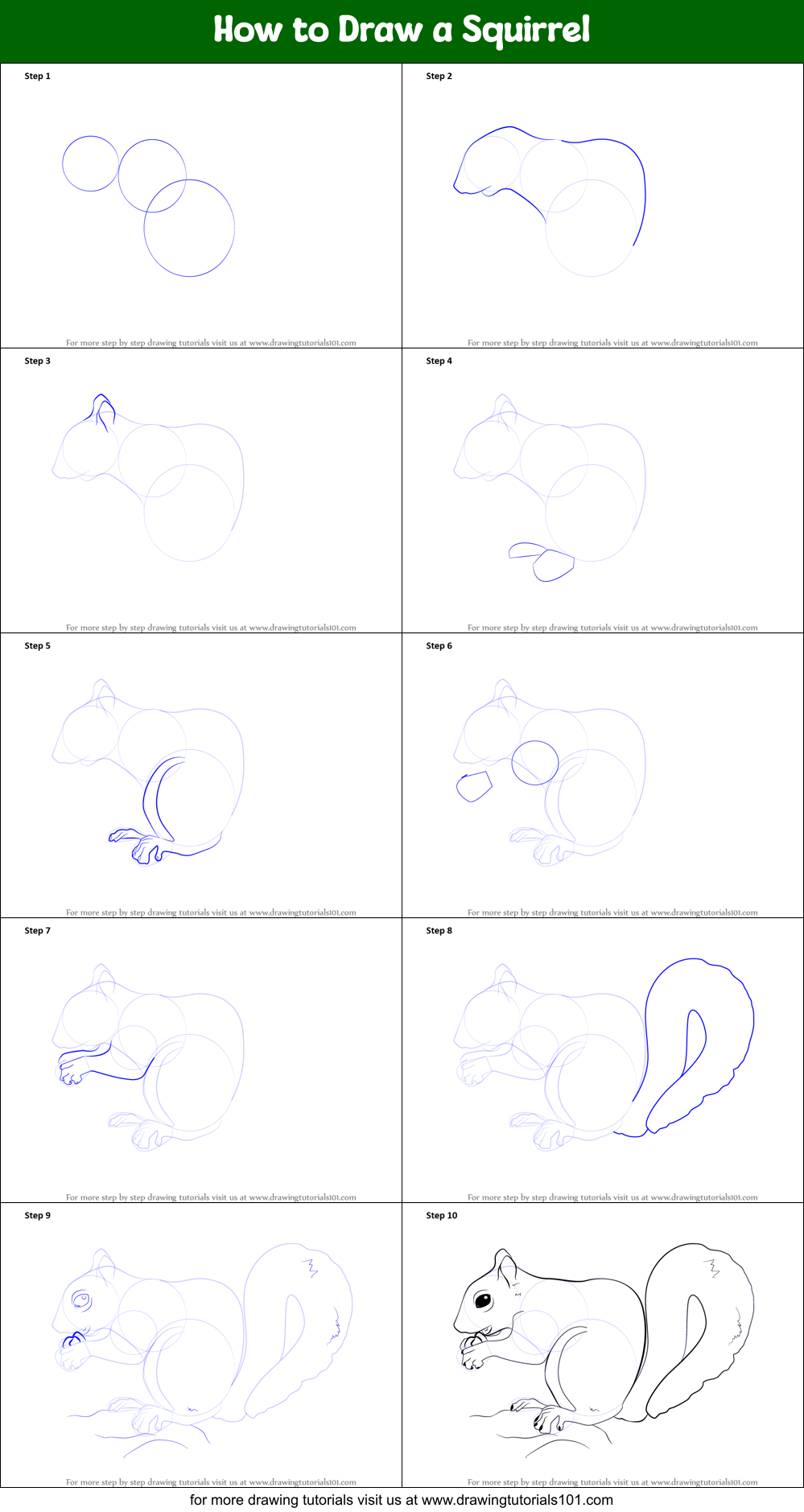 How to Draw a Squirrel (Wild Animals) Step by Step ...