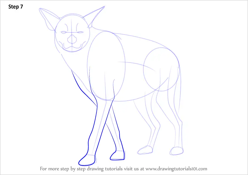 How to Draw a Striped Hyena (Wild Animals) Step by Step ...