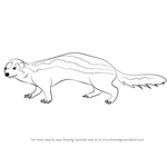 How to Draw a Striped Polecat