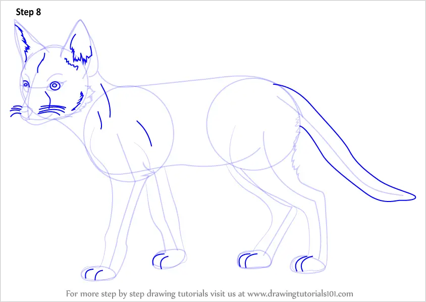 How to Draw a Swift Fox (Wild Animals) Step by Step ...