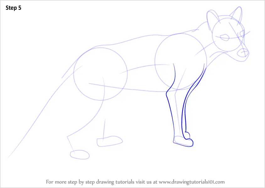 How to Draw a Tasmanian tiger (Wild Animals) Step by Step ...