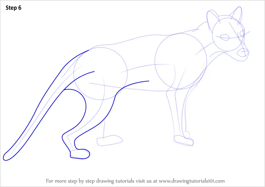 How to Draw a Tasmanian tiger (Wild Animals) Step by Step ...